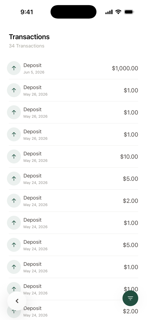 A list of deposits with dates and amounts.